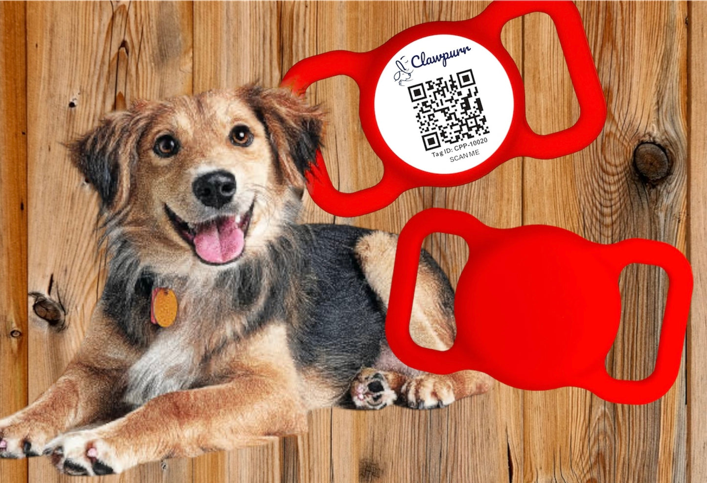 SMART Pet Tag that does more than just find the lost pet (Universal size; No subscription required)