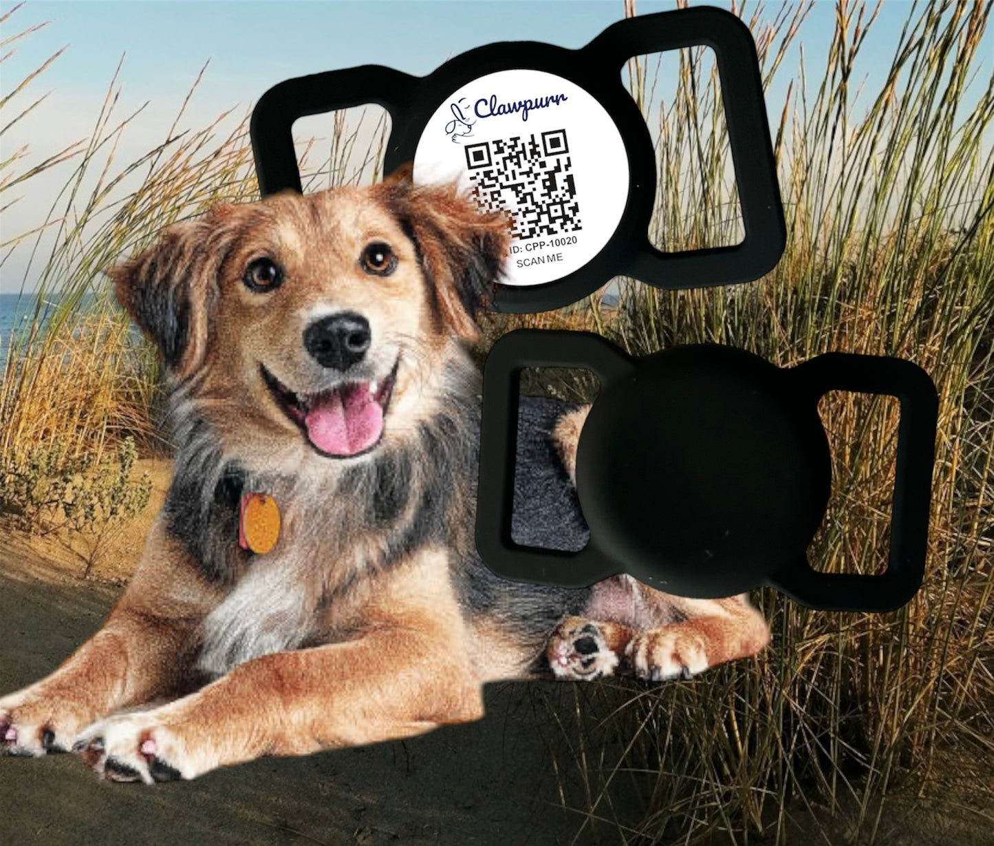 SMART Pet Tag that does more than just find the lost pet (Universal size; No subscription required)